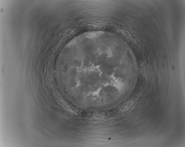 X0000078831009200611271251