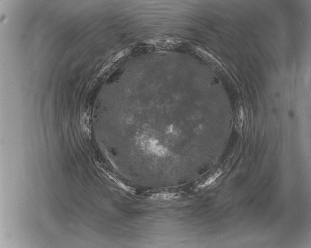 X0000078831010200611271251