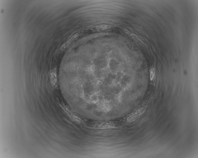 X0000078831011200611271251