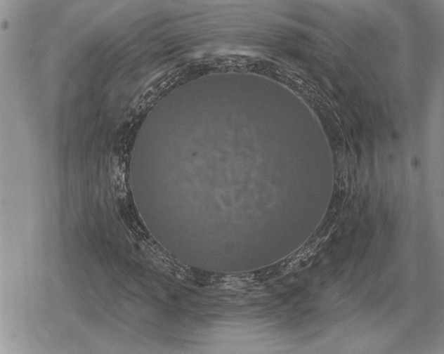 X0000078831013200611271251