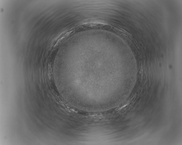 X0000078831014200611271251