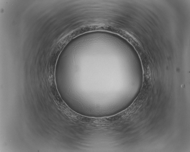 X0000078831015200611271251