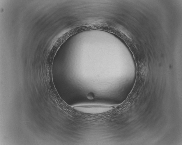 X0000078831016200611271251