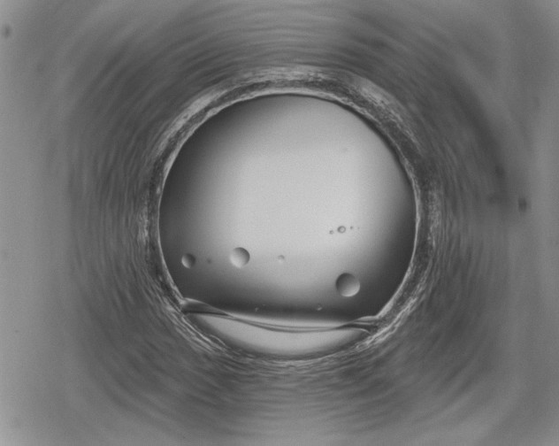 X0000078831017200611271251