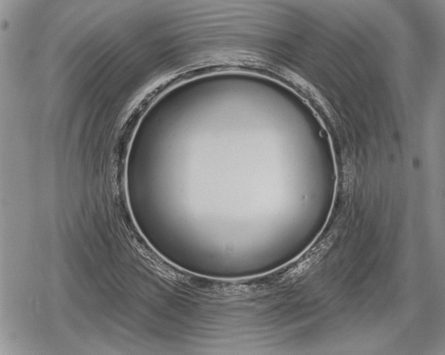 X0000078831019200611271252