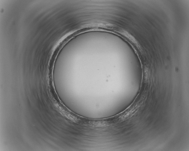 X0000078831020200611271252