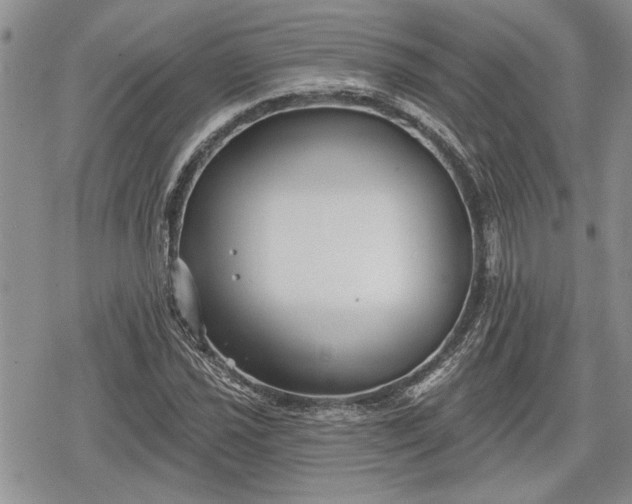 X0000078831021200611271252