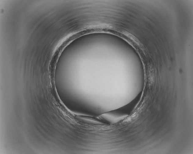 X0000078831022200611271252