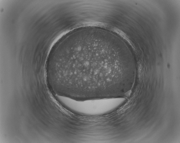 X0000078831024200611271252