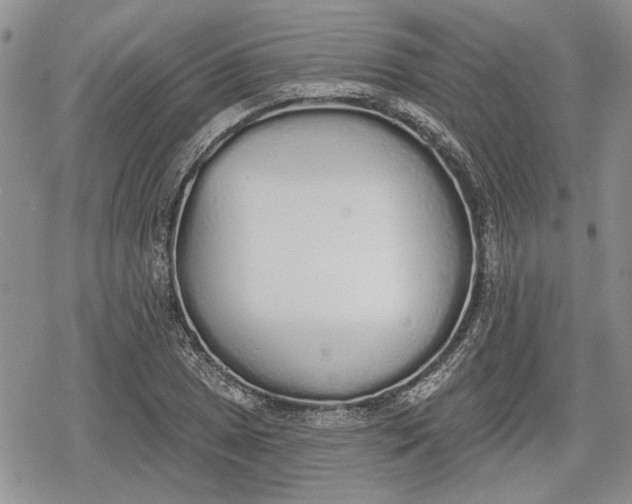 X0000078831025200611271252