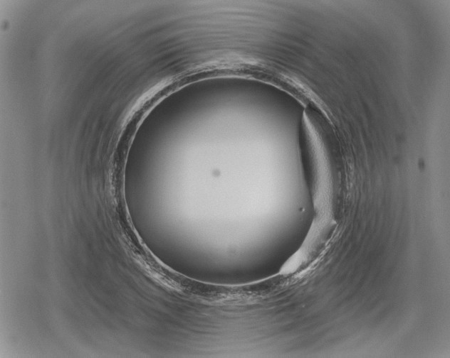 X0000078831026200611271252