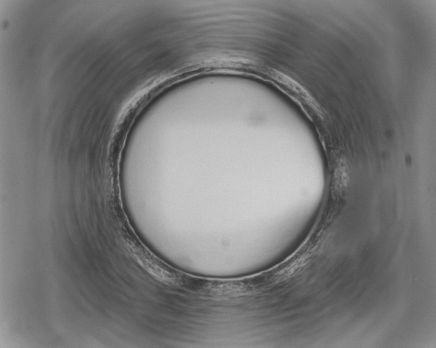 X0000078831027200611271252