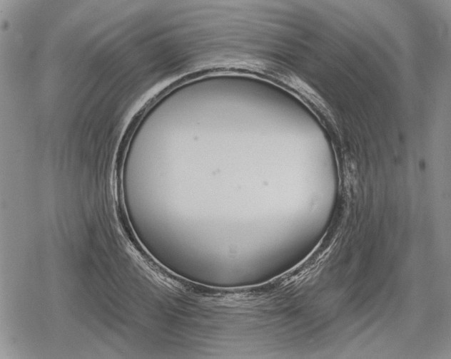 X0000078831028200611271252