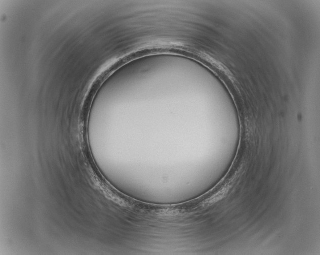 X0000078831029200611271252