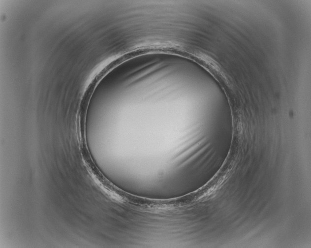 X0000078831030200611271252