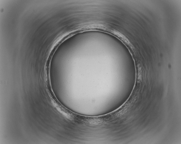 X0000078831031200611271252