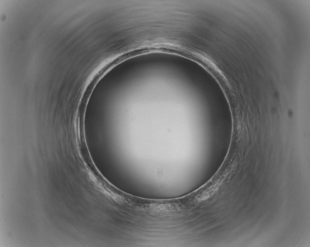 X0000078831032200611271252