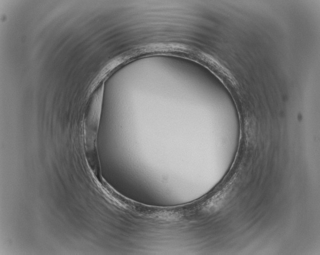 X0000078831033200611271252