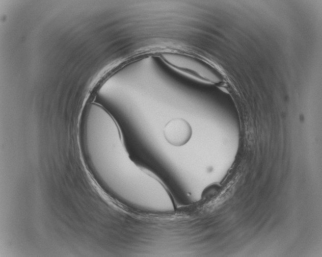 X0000078831034200611271252