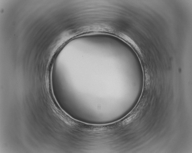 X0000078831035200611271252