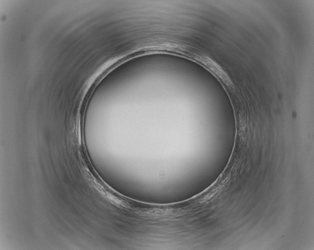 X0000078831036200611271252