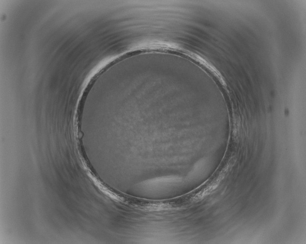 X0000078831037200611271252