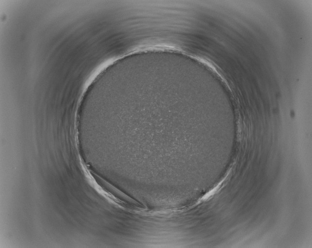 X0000078831038200611271252