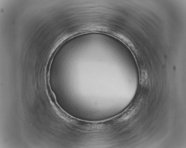 X0000078831039200611271252