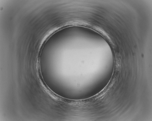 X0000078831040200611271252