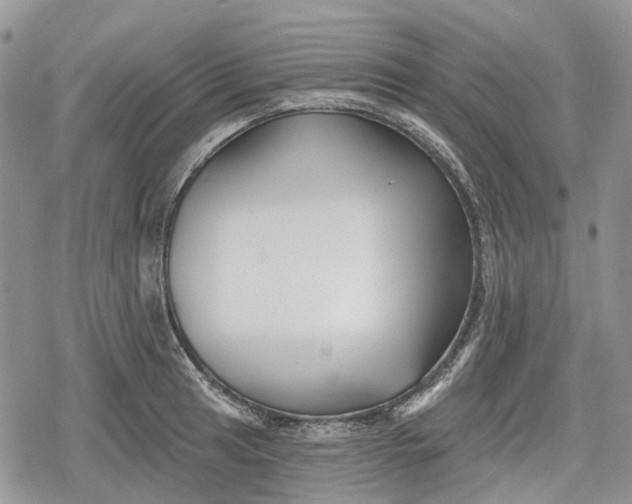 X0000078831041200611271252