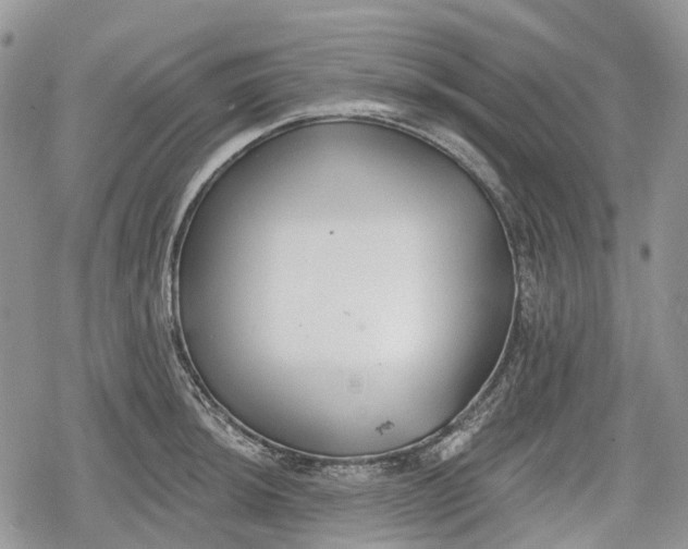 X0000078831044200611271252