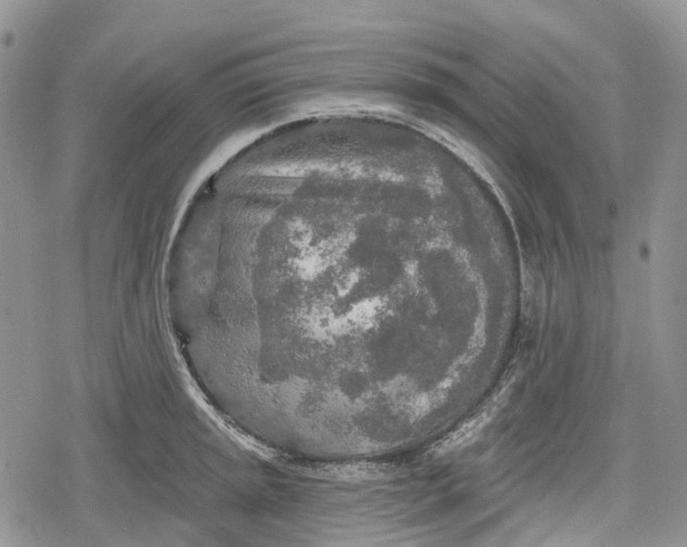 X0000078831045200611271252