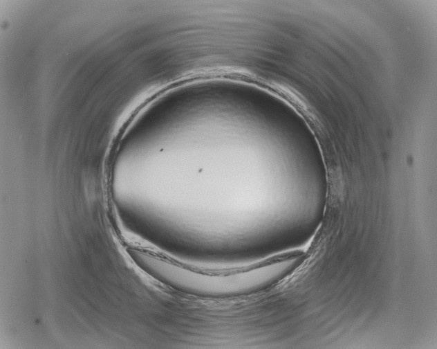 X0000078831046200611271252