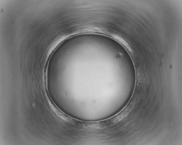 X0000078831047200611271252