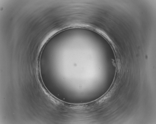 X0000078831048200611271252