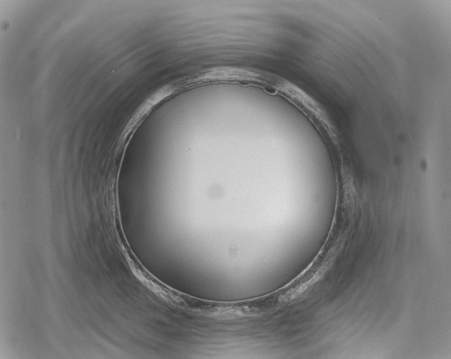 X0000078831049200611271252