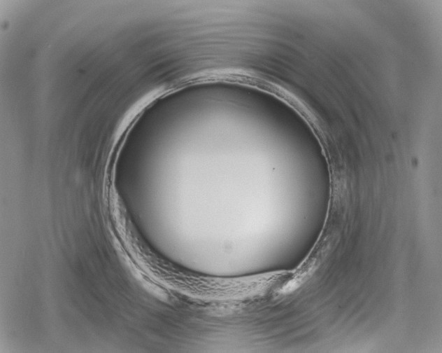 X0000078831050200611271252