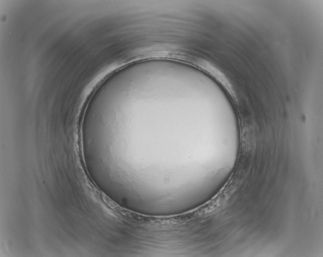 X0000078831051200611271252