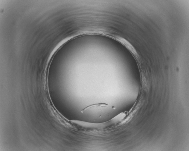 X0000078831052200611271252