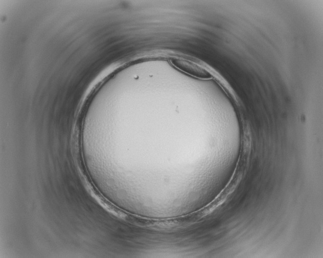 X0000078831053200611271252