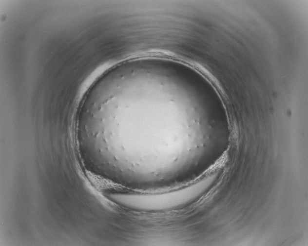 X0000078831054200611271252