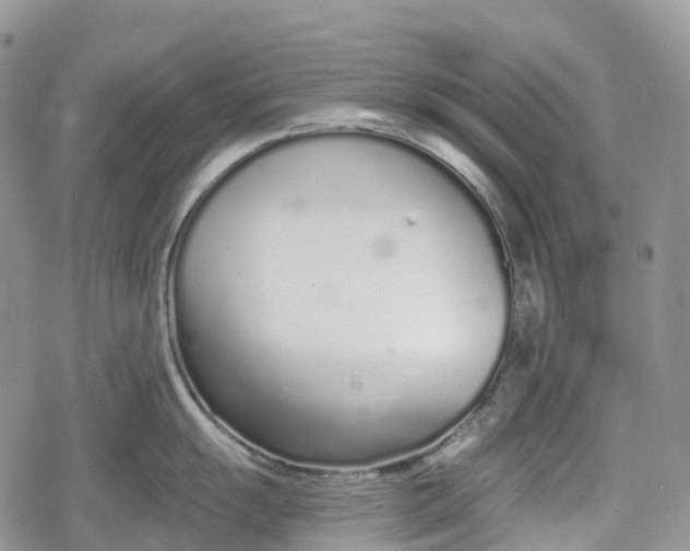 X0000078831055200611271252