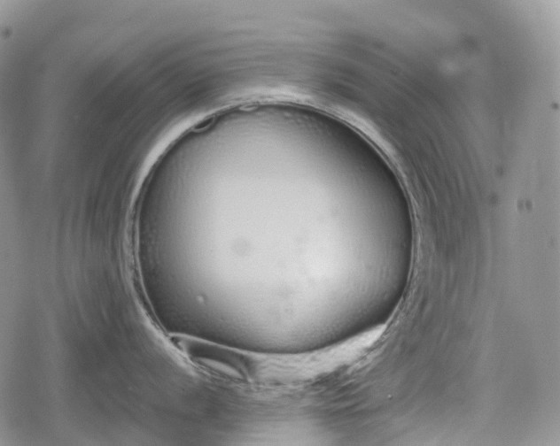 X0000078831056200611271252