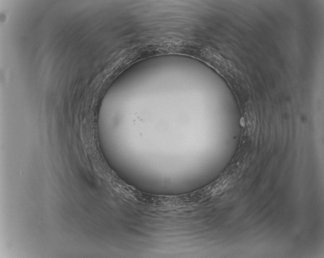 X0000078831057200611271251