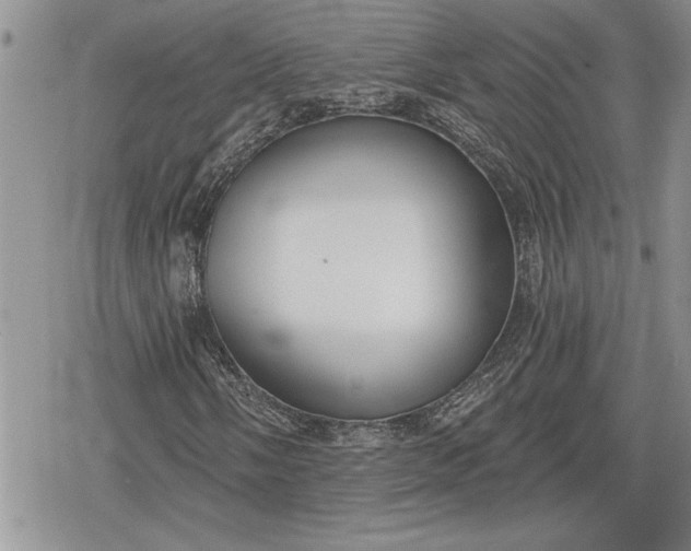 X0000078831058200611271251