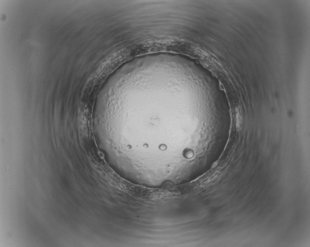 X0000078831059200611271251