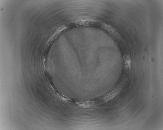 X0000078831060200611271251