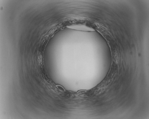 X0000078831061200611271251