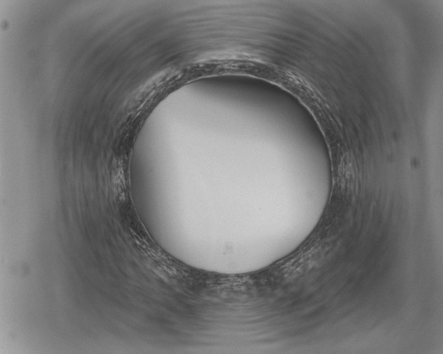 X0000078831062200611271251