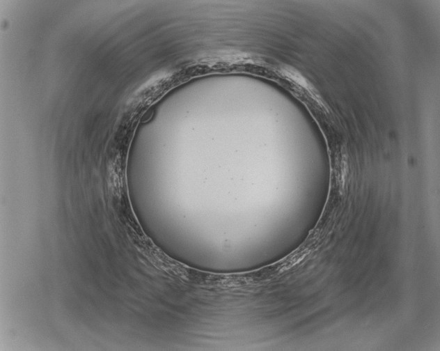 X0000078831063200611271251